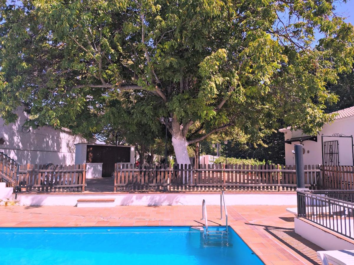 Complejo Apartamentos Rurales Molino De Abajo Ribera Baja  Eksteriør billede