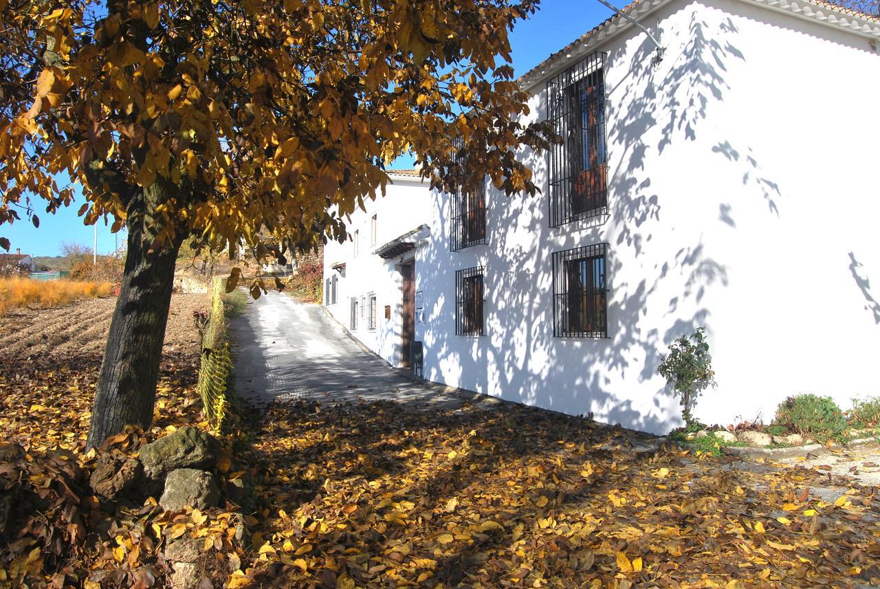 Complejo Apartamentos Rurales Molino De Abajo Ribera Baja  Eksteriør billede