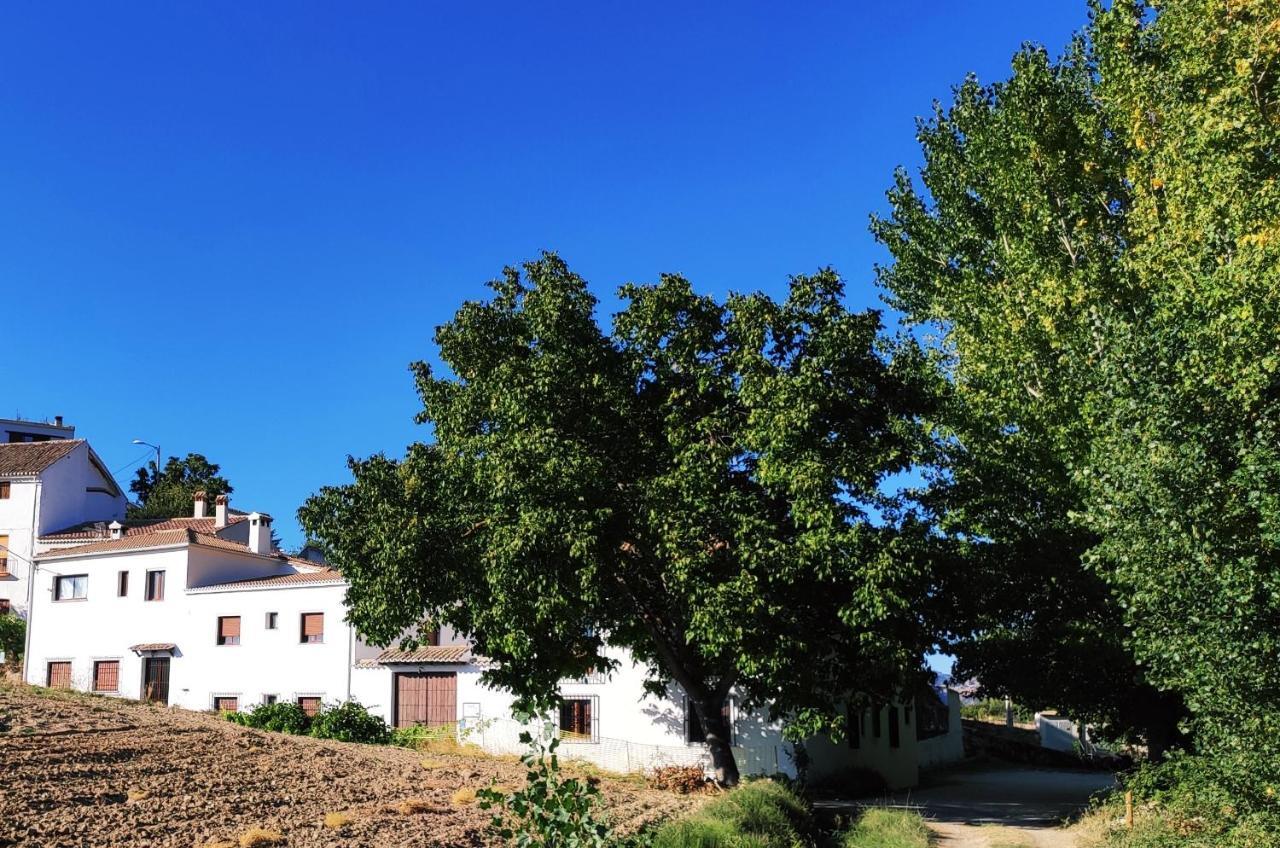 Complejo Apartamentos Rurales Molino De Abajo Ribera Baja  Eksteriør billede